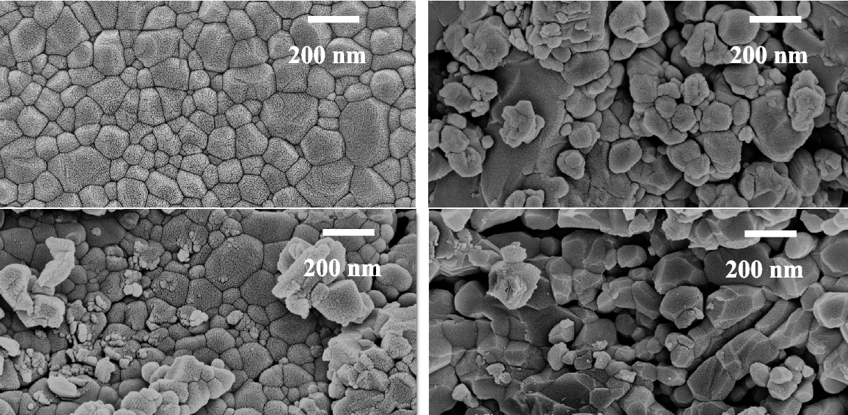 Microscopy