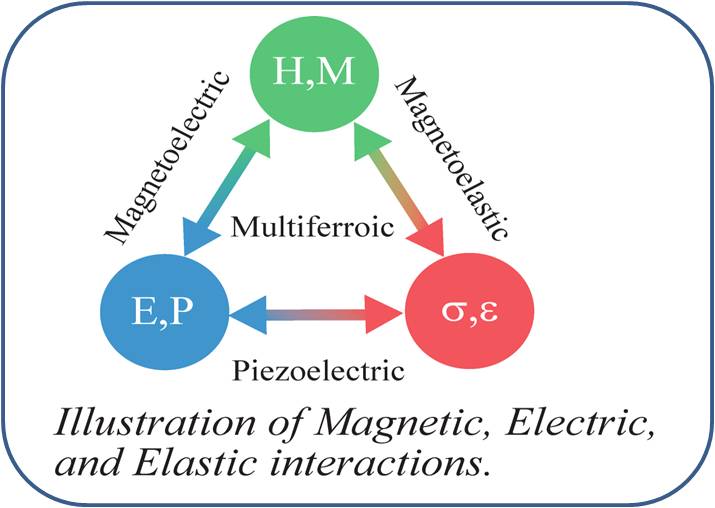 Multiferroic